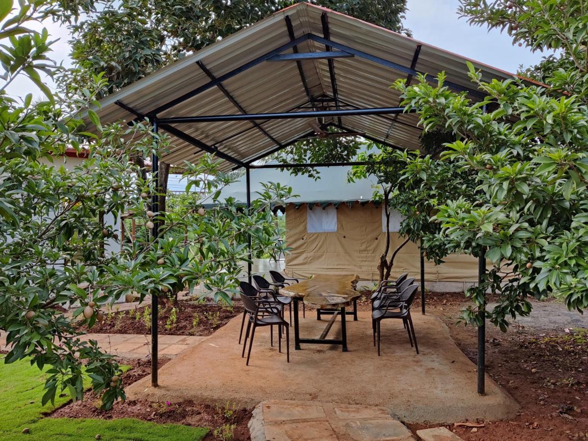 Farm stay Roy's Nature Nest - Farm Near Malshej Ghats